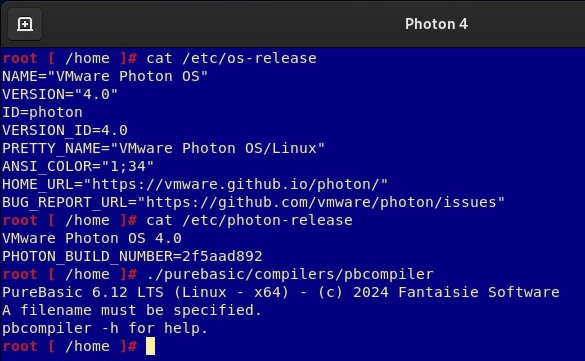 terminal window of photon with purebasic compiler call